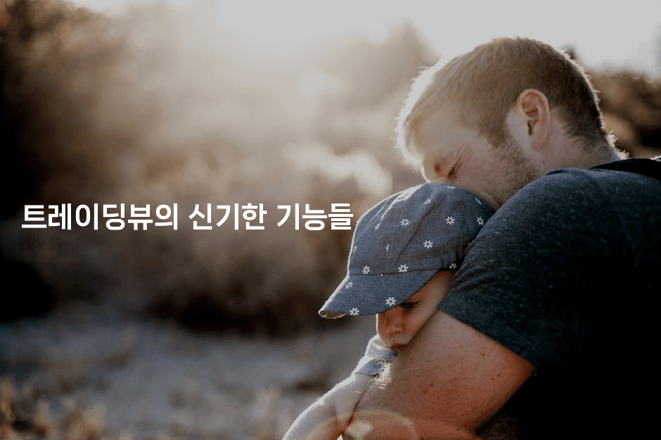 트레이딩뷰의 신기한 기능들 -코인돌