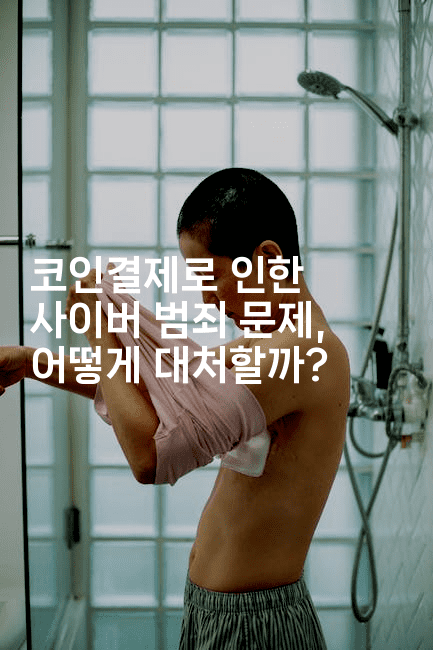 코인결제로 인한 사이버 범죄 문제, 어떻게 대처할까?2-코인돌