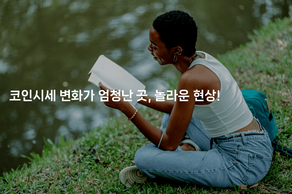 코인시세 변화가 엄청난 곳, 놀라운 현상!2-코인돌