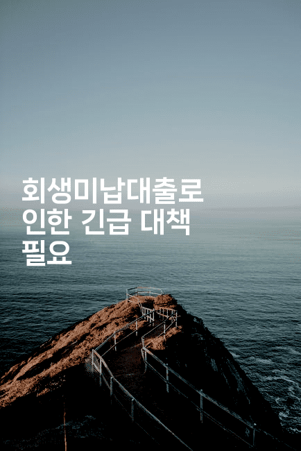 회생미납대출로 인한 긴급 대책 필요-코인돌