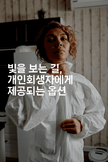 빛을 보는 길, 개인회생자에게 제공되는 옵션