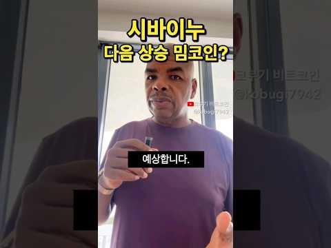 시바이누 다음 상승 밈 코인?