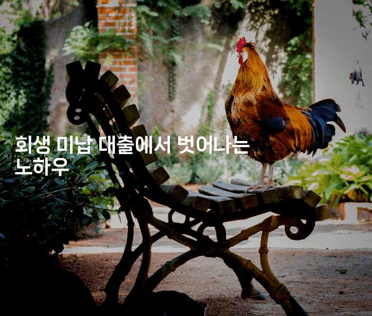 회생 미납 대출에서 벗어나는 노하우-코인돌