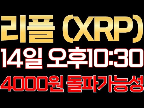 리플 2차 상승 직전 마지막 매수구간 나왔다... " 트럼프 공약 " 단기간 4000원 돌파 가능성 ? 리플전망 리플코인 XRP 트럼프 일론머스크 SEC 스텔라루멘 헤데라 ?