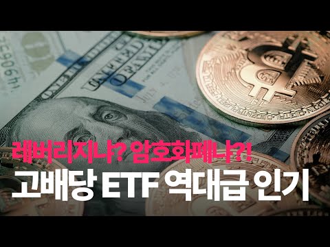 고배당 SCHD(슈드) vs 암호화폐 MSTU, 누가 더 수익률이 높을까? | 주간 ETF 인기 Top10 공개