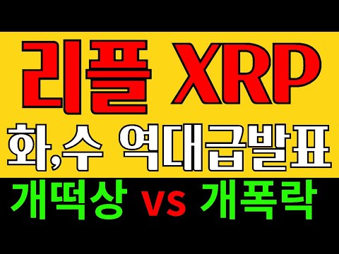 리플 XRP 코인  D-3 항소여부  화 , 수 요일 빅 이벤트 발생!! 역대 최고의 이벤트 발생예정!!  #리플 #리플코인