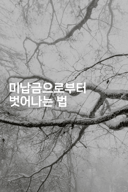 미납금으로부터 벗어나는 법-코인돌