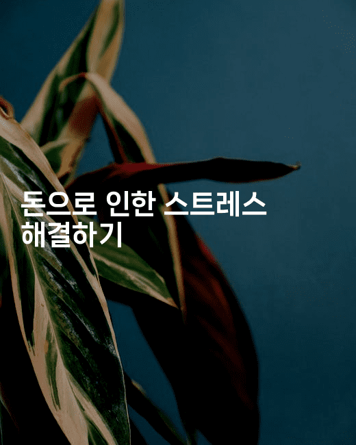 돈으로 인한 스트레스 해결하기-코인돌