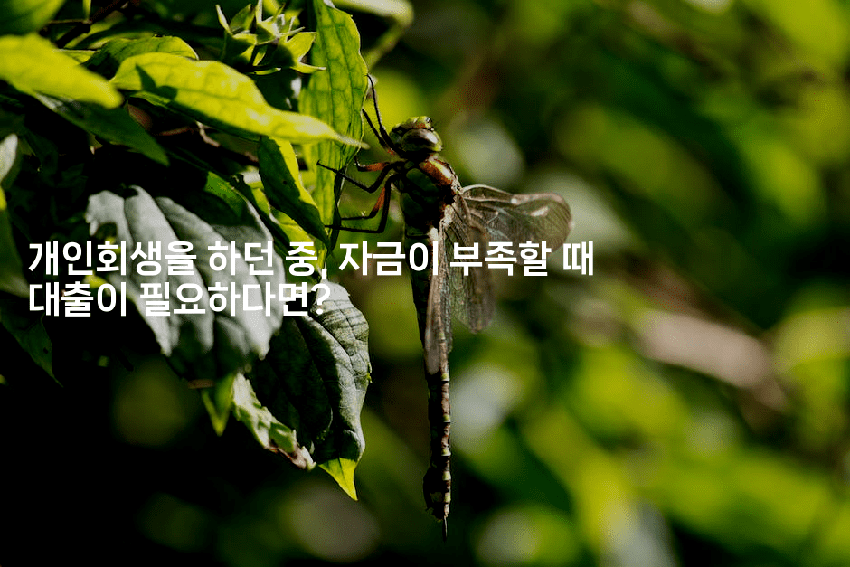 재기 가능한 길, 회생파산대출로 채무과다 탈출하기-코인돌