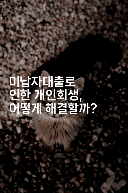 미납자대출로 인한 개인회생, 어떻게 해결할까?-코인돌